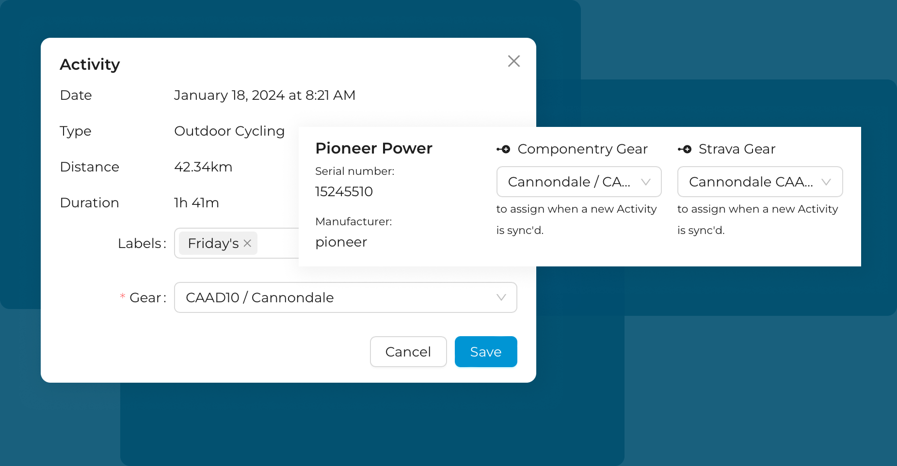Notifications and digests